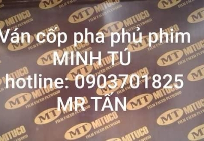 Xuất khẩu gỗ ván ép plywood: 6 điểm quan trọng cần biết