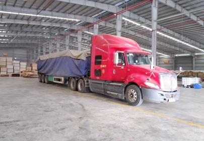 Thủ tục hải quan xuất khẩu gỗ ván ép